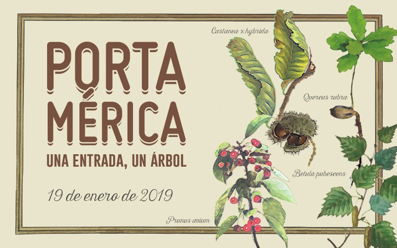 Una entrada un árbol